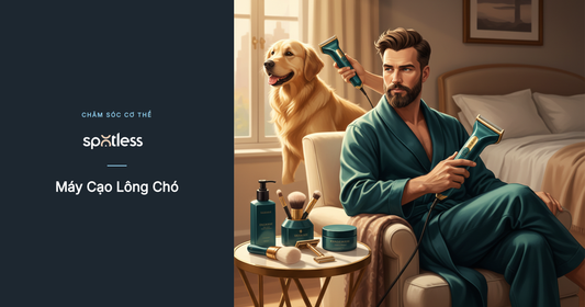 Máy cạo lông chó: Có nên dùng chung với tông đơ của người?