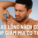 Cạo Lông Nách Có Giúp Giảm Mùi Cơ Thể Không? Câu Trả Lời Có Thể Khiến Bạn Ngạc Nhiên