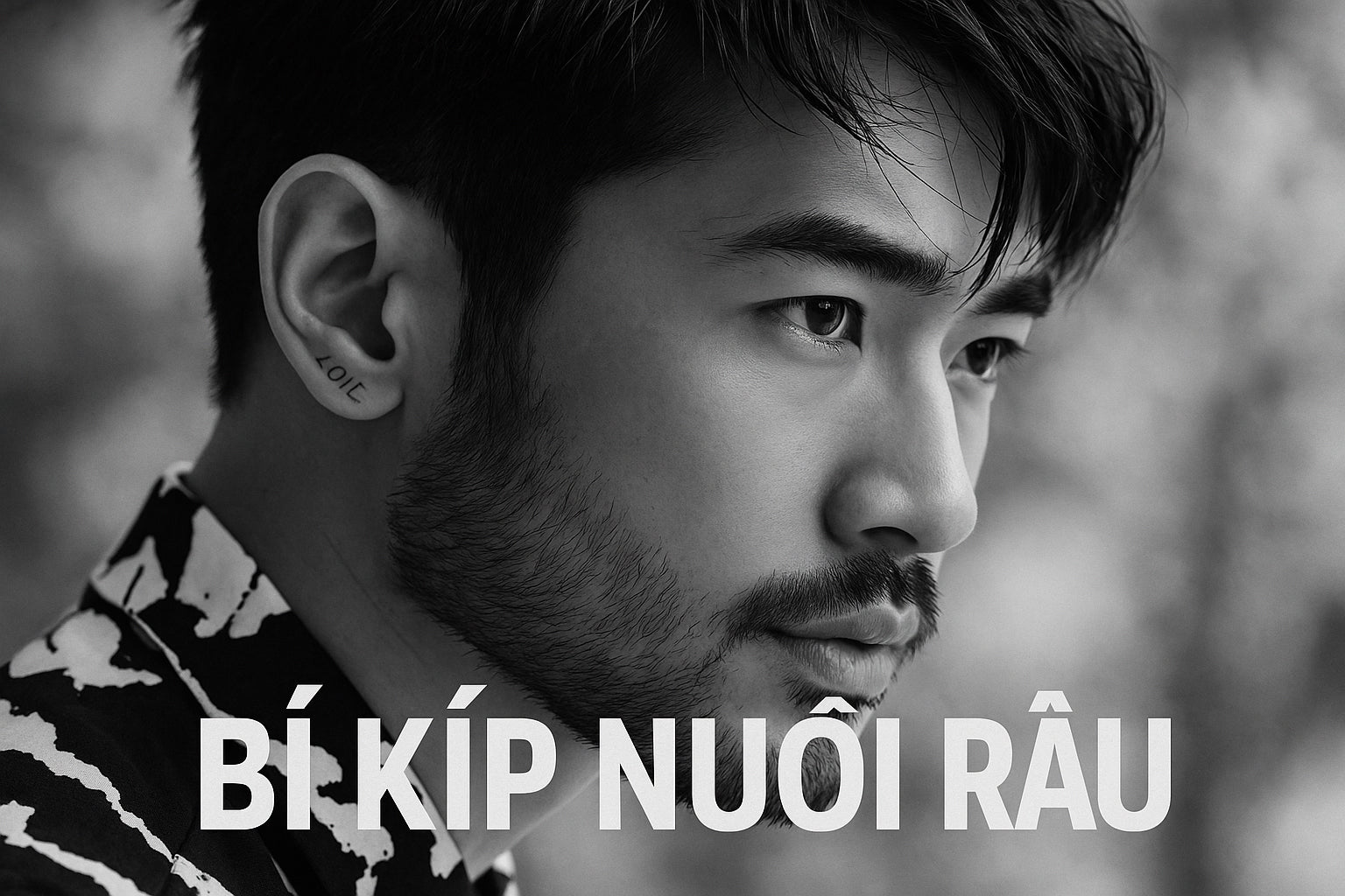 Bí Kíp Nuôi Râu Mềm Đẹp Không Ngứa Ngáy – SPOTLESS VIỆT NAM