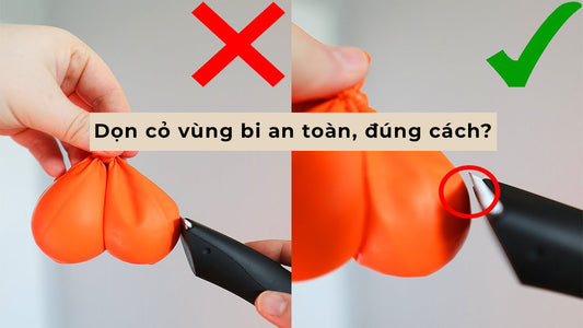 Làm sao để dọn cỏ vùng bi an toàn và đúng cách?