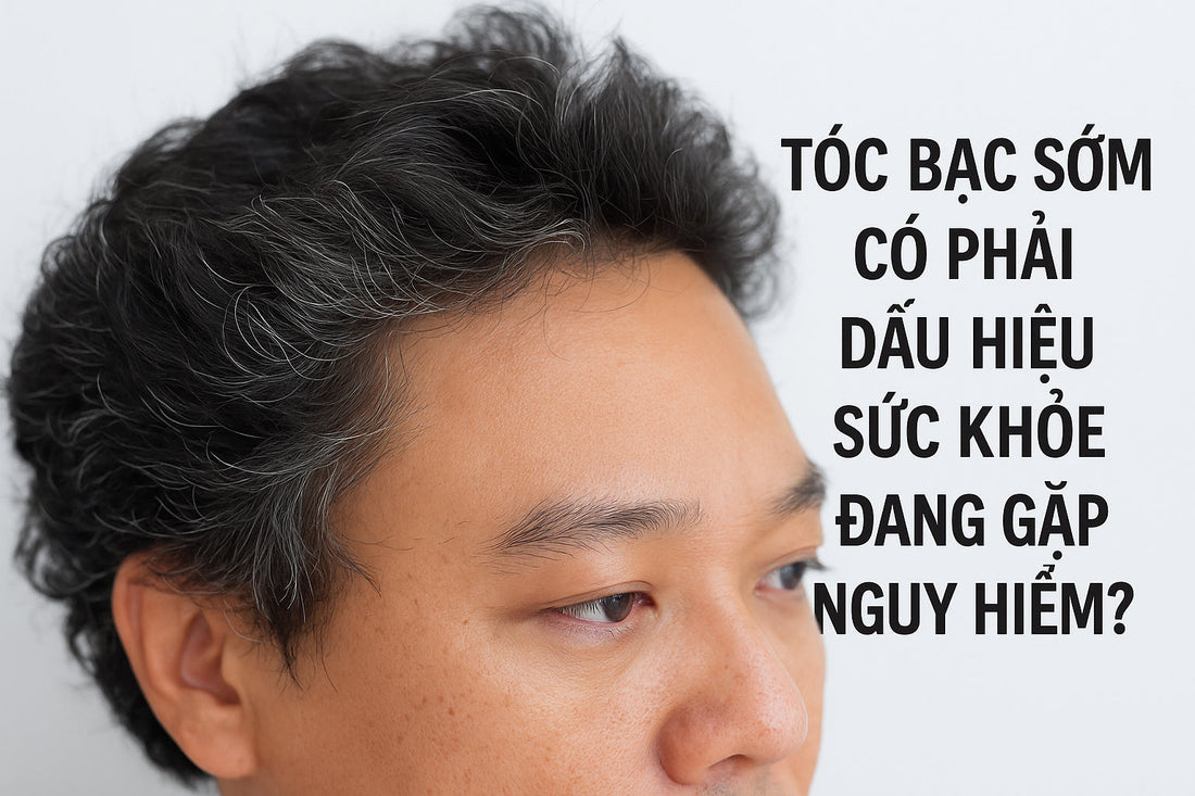 Tóc Bạc Sớm Có Phải Dấu Hiệu Sức Khỏe Đang Gặp Nguy Hiểm?